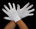 勝星産業 [M/210mm] 手袋(綿･導電性繊維) 手袋･腕カバーEA354AC-16 4550061047187(CDC)【別送品】