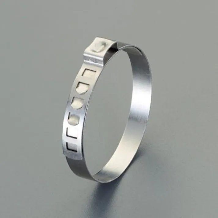 ホースクランプ(イヤー型/10個) 22-30mm EA463AW-130 4550061630310【別送品】