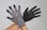 ESCO [L] 手袋(ニトリルゴムコーティング) 手袋･腕カバーEA354HD-3 4550061220573(CDC)【別送品】