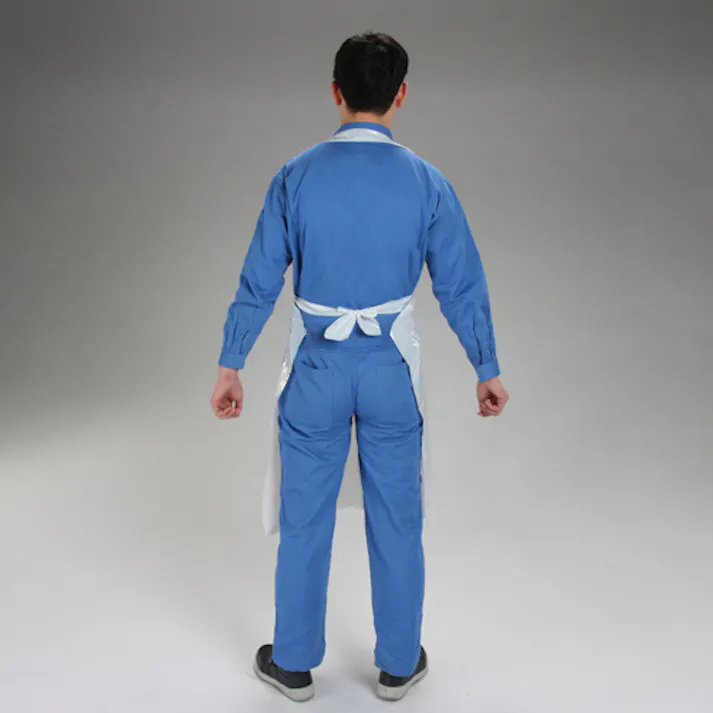 エプロン(使い捨て/25枚) 114x74cm EA355A 4518340016071【別送品】