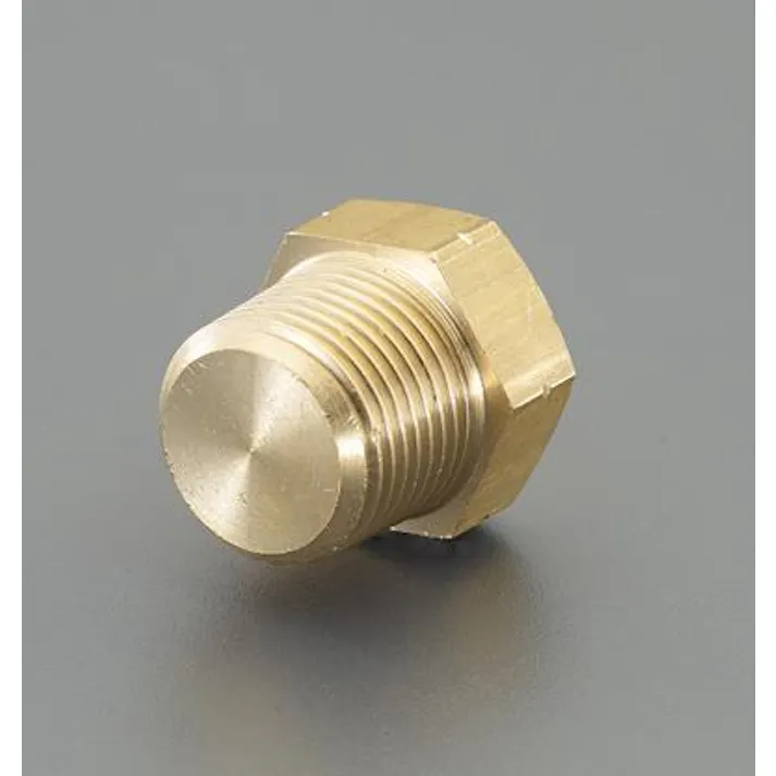 アソー(ASOH) 六角プラグ R1/4” EA141AD-2 4550061307717【別送品】