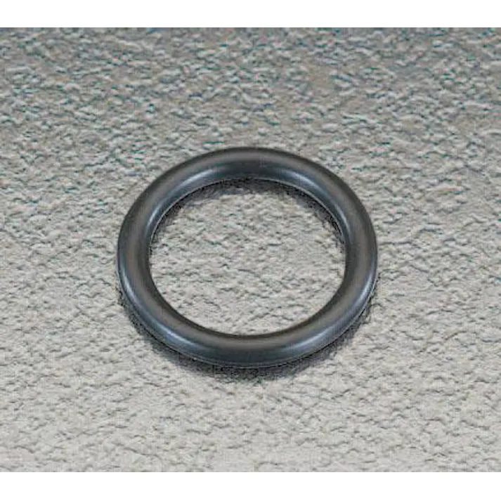 オーリング(10個)(運動用) P-22 EA423RB-22 4518340017634【別送品】