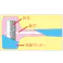 オーエッチ工業 無反動ハンマー 430g/φ34x275mm EA575WT-34 4518340378988【別送品】