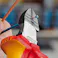 KNIPEX(クニペックス) 絶縁穴付ニッパー(グリップ付/メッキ) 160mm EA536KB-160A 4518340783003【別送品】
