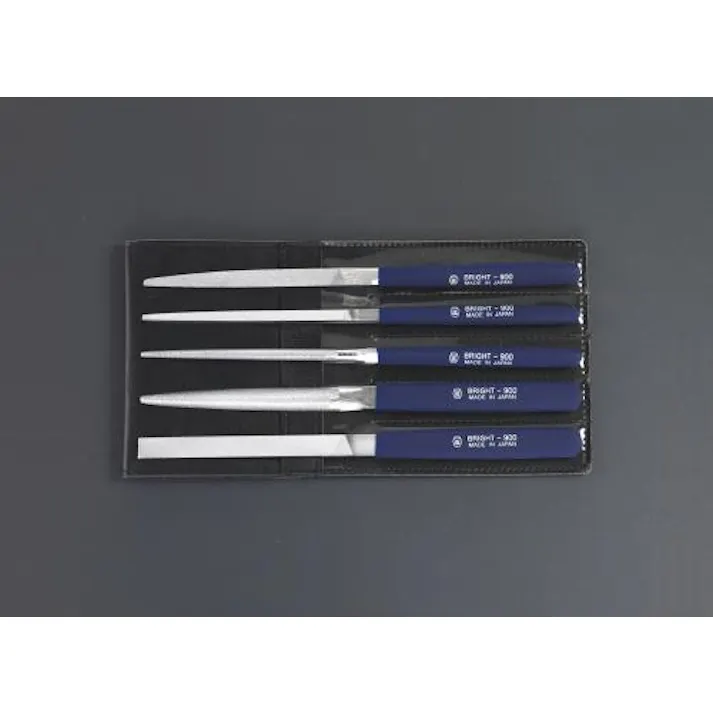 ESCO 200mm やすり(クロムコーティング5本組/中目) EA521PJ 4548745344615(CDC)【別送品】