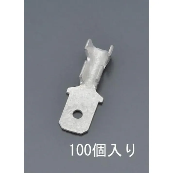 日立Astemoアフターマーケットジャパン 250ファストンプラグ(100個) 0.5-1.25平方ミリメートル EA538RA-47 4548745628746【別送品】