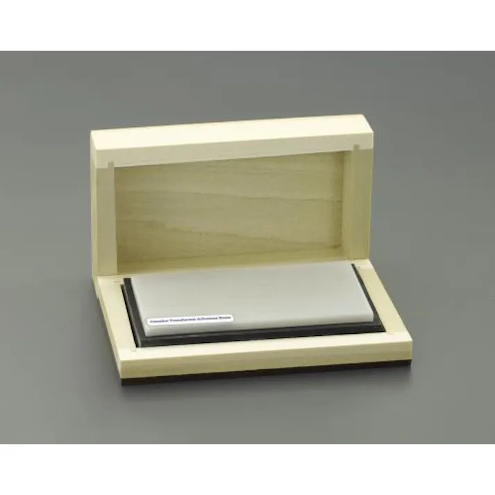 ESCO 100x50x13mm 油砥石・天然(極上質/超細目) EA522AM-5A 4550061240670(CDC)【別送品】