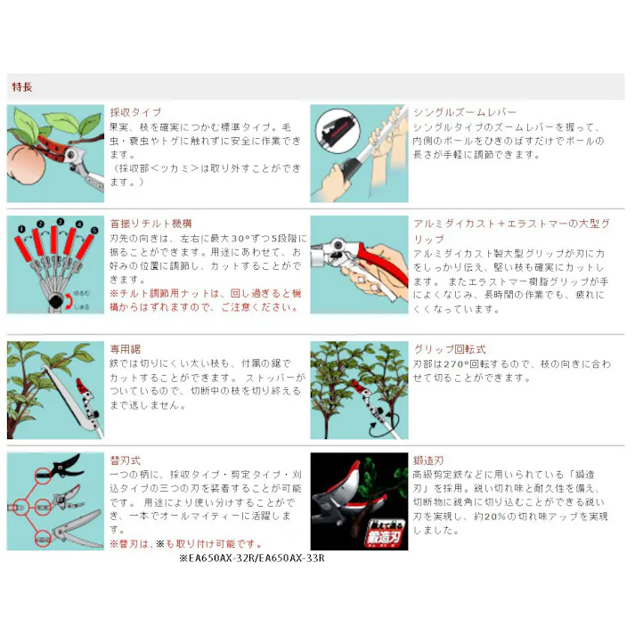 アルスコーポレーション(ARS) 高枝切(採収型・伸縮柄/刃長60mm) 1.8-3.0m EA650AX-31 4518340050815【別送品】