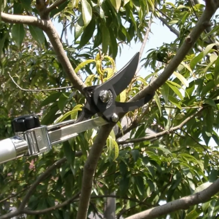 アルスコーポレーション(ARS) 高枝鋏(剪定型・伸縮柄/刃長60mm) 1.8-3.0m EA650AX-32 4518340050839【別送品】