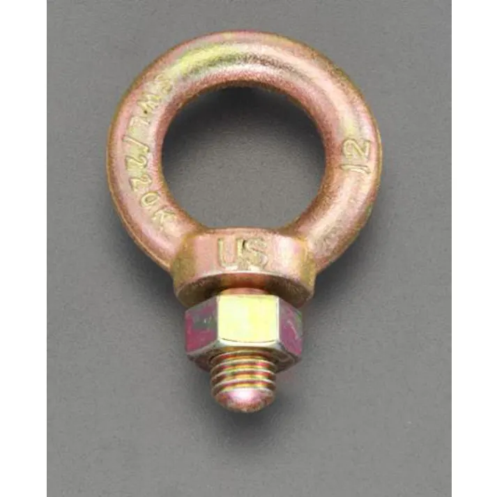 ESCO M12x22mm アイボルト(圧延鋼三価クロムメッキ) EA638SN-53 4518340250628(CDC)【別送品】