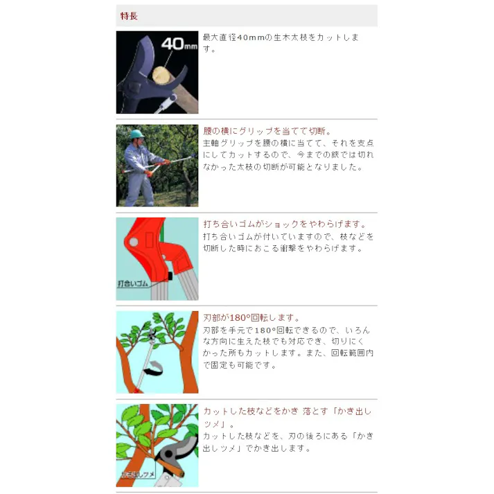 アルスコーポレーション(ARS) 高枝鋏(刃長63mm) 1500mm EA650AX-21 4518340435872【別送品】