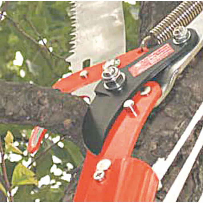 高枝切(ファイバーグラス伸縮柄) φ31mm/1.8-3.6m EA650AX-22 4518340816237【別送品】