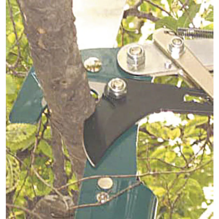 高枝切(ファイバーグラス伸縮柄) φ31mm/1.8-3.6m EA650AX-23 4518340816244【別送品】