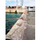リング(ステンレス製) 56kg/19.0mm EA638FV-19 4518340842519【別送品】