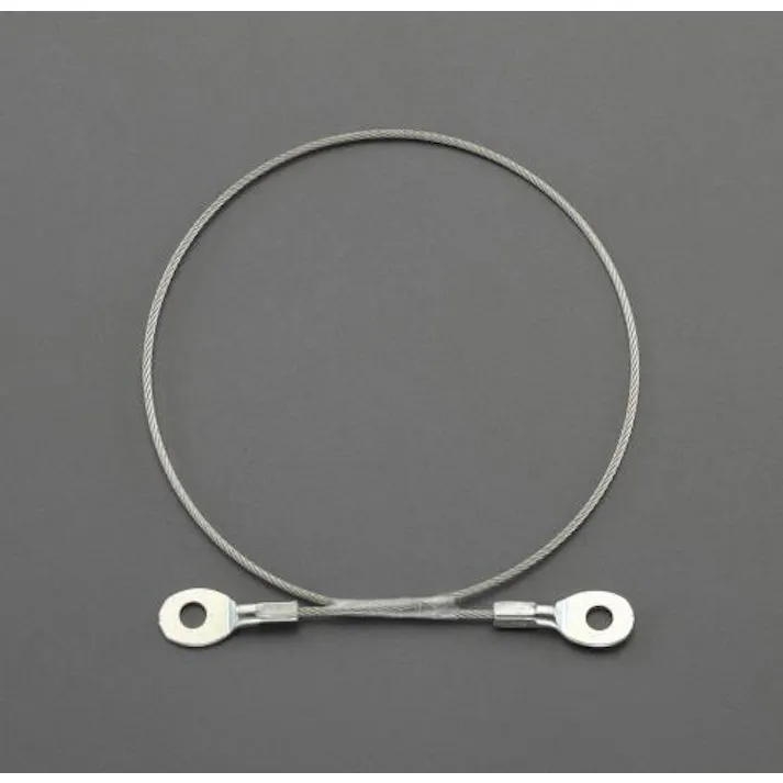 ESCO φ1.5x300mm ステンレスワイヤー(ビス止め端子付) EA628ST-22 4548745273236(CDC)【別送品】