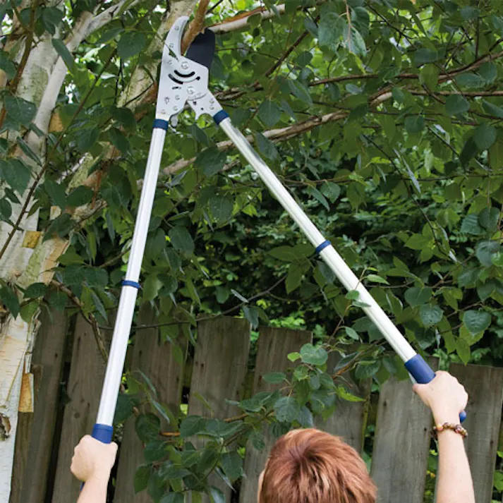 枝切鋏(ラチェット式/伸縮柄) 710-1030mm EA650AC-84 4550061361115【別送品】