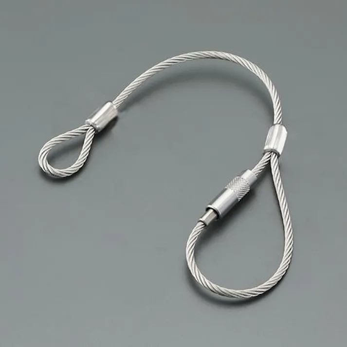 ESCO 3.0mmx2.0m/7x19 ワイヤーループキャッチ(ステンレス製) EA628SA-53 4550061501382(CDC)【別送品】