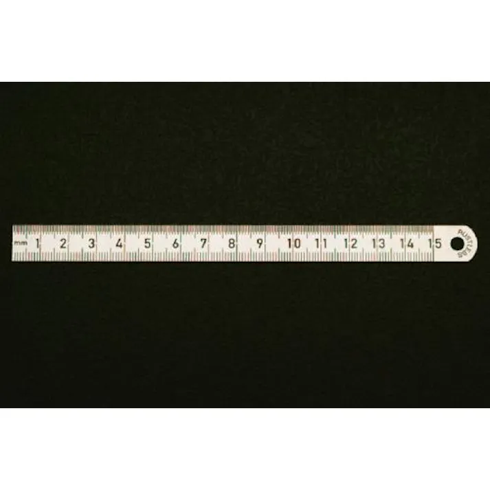 ESCO 150x13mm 直尺(ステンレス製) EA720YA-15 4518340065703(CDC)【別送品】