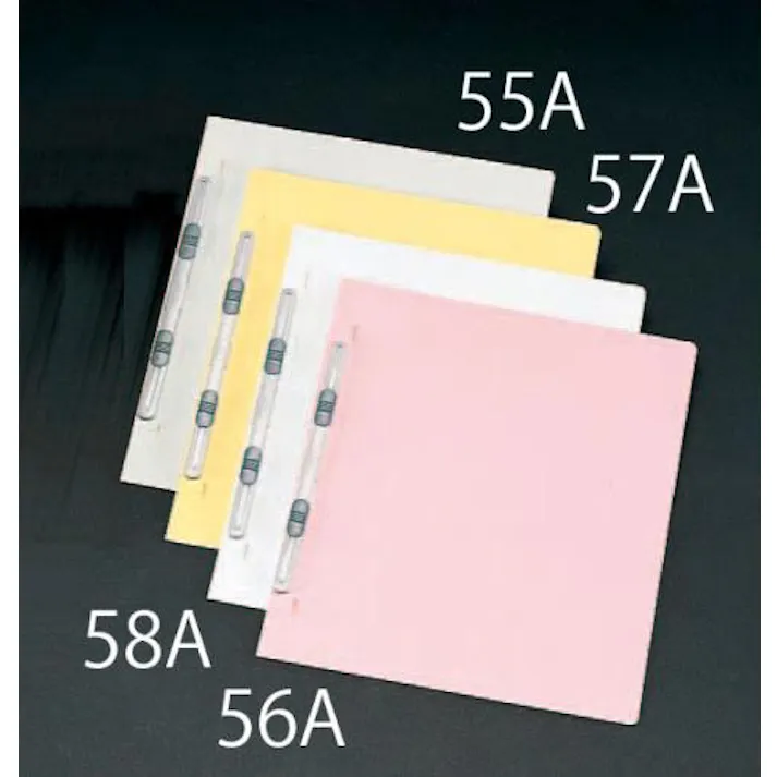 ライオン事務器(LION) フラットファイル(灰/10冊) A4 EA762CD-55A 4518340139794【別送品】