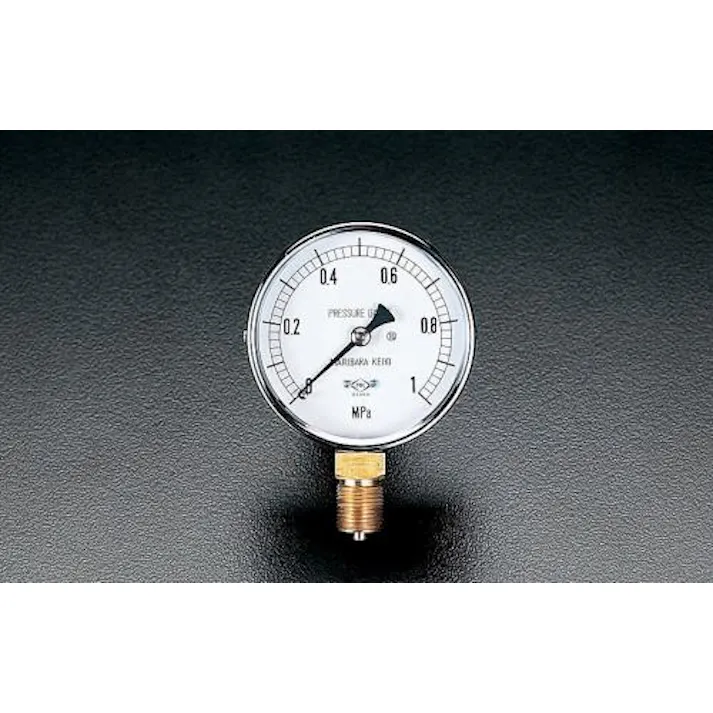 ESCO G 3/8"/ 75mm/0-0.4MPa 圧力計 EA729BC-4 4518340151987(CDC)【別送品】