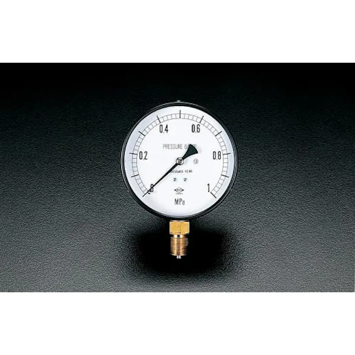 ESCO G 3/8"/100mm/0-1.0MPa 圧力計 EA729BD-10 4518340152069(CDC)【別送品】