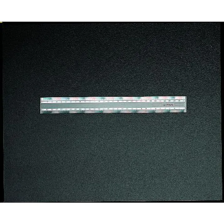 西敬 定規 16cm EA720YG-16 4518340152878【別送品】