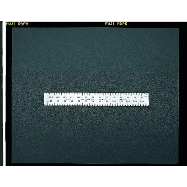 ESCO 150x19.0mm 直尺(スティール製) EA720YE-150 4518340346369(CDC)【別送品】