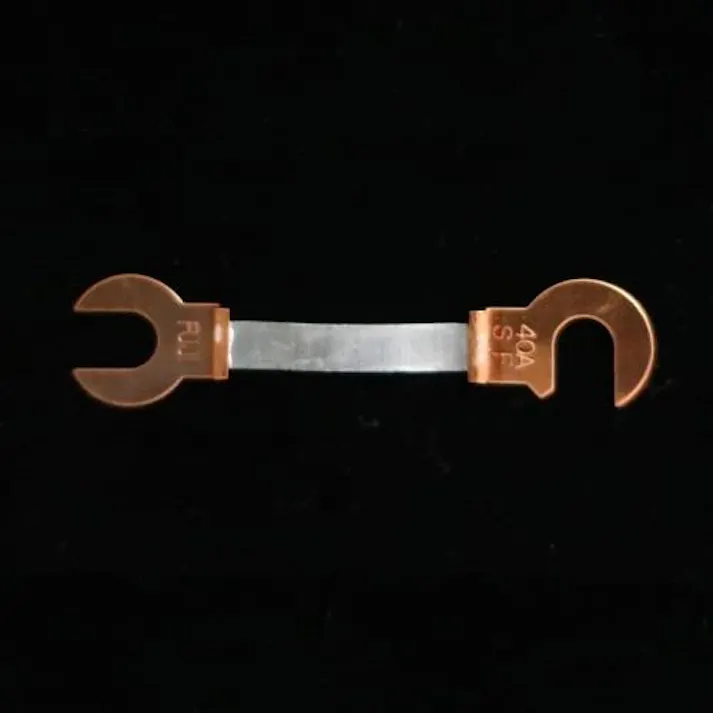 ESCO 40A/55mm 銅つめ付ヒューズ(2本) EA758ZP-5B 4518340922365(CDC)【別送品】