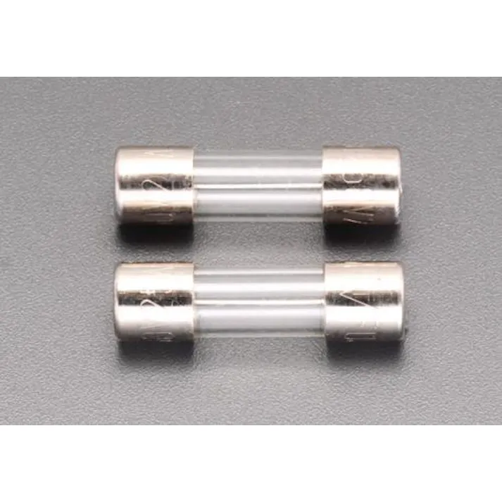 ESCO 250Vx 10A/φ10.3mm 管ヒューズ(2本) EA758ZY-25 4548745072501(CDC)【別送品】