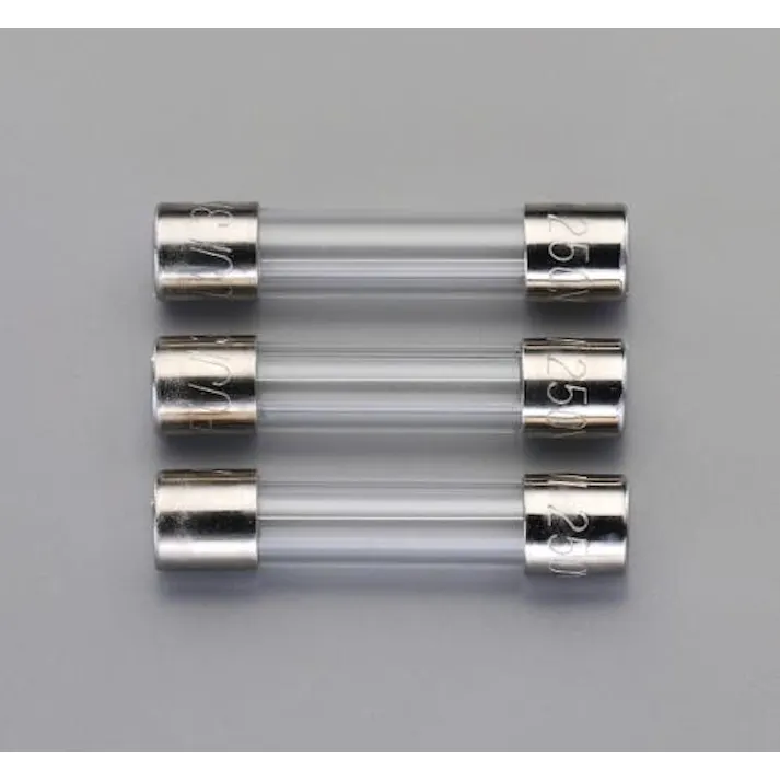 ESCO 125Vx 10A/φ6.4mm 管ヒューズ(速断型/3本) EA758ZY-210 4548745220889(CDC)【別送品】