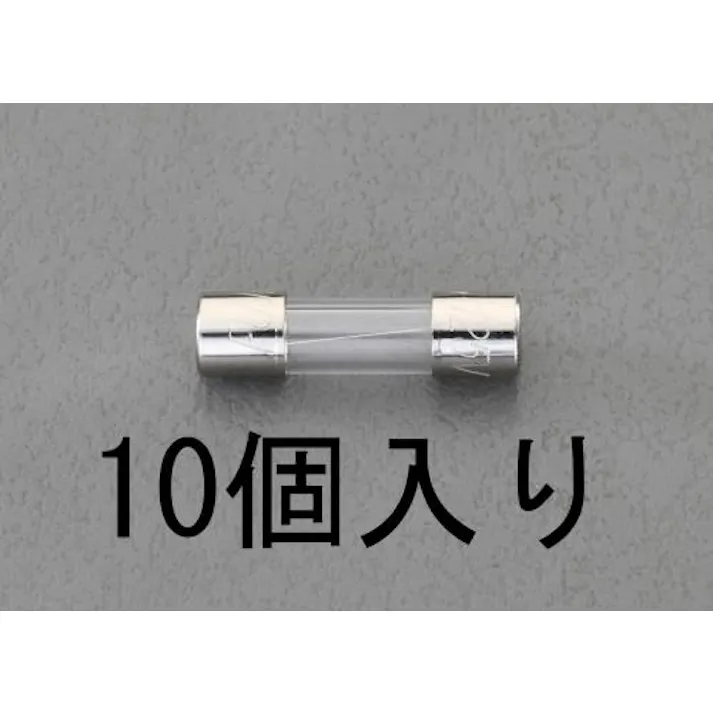 ESCO 250Vx 12A/φ5.2mm 管ヒューズ(10本) EA758ZX-12 4548745228366(CDC)【別送品】