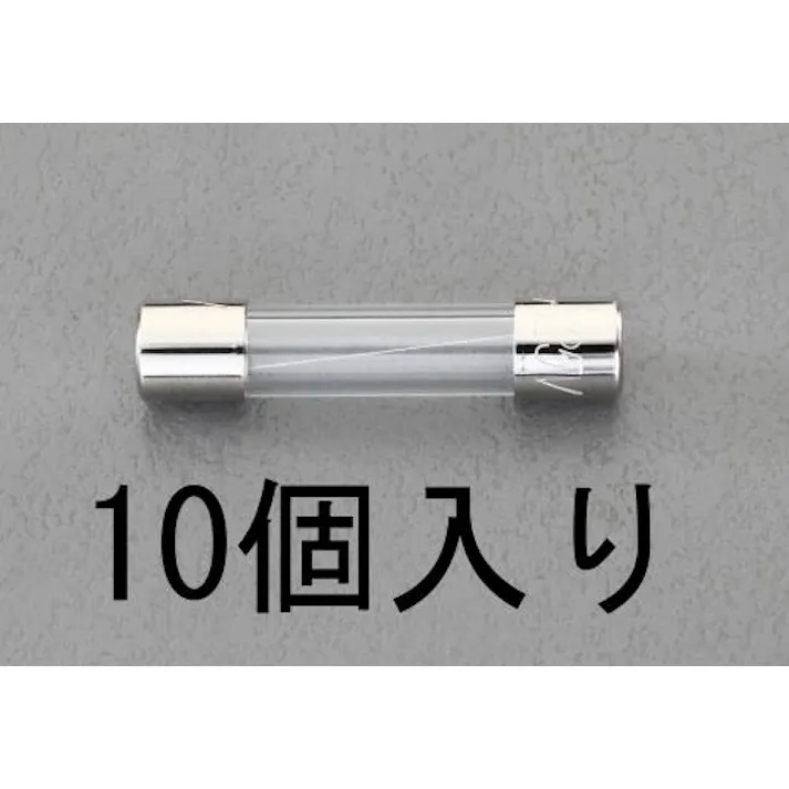 ESCO 250Vx0.1A/φ6.4mm 管ヒューズ(10本) EA758ZZ-0.1 4548745228489(CDC)【別送品】