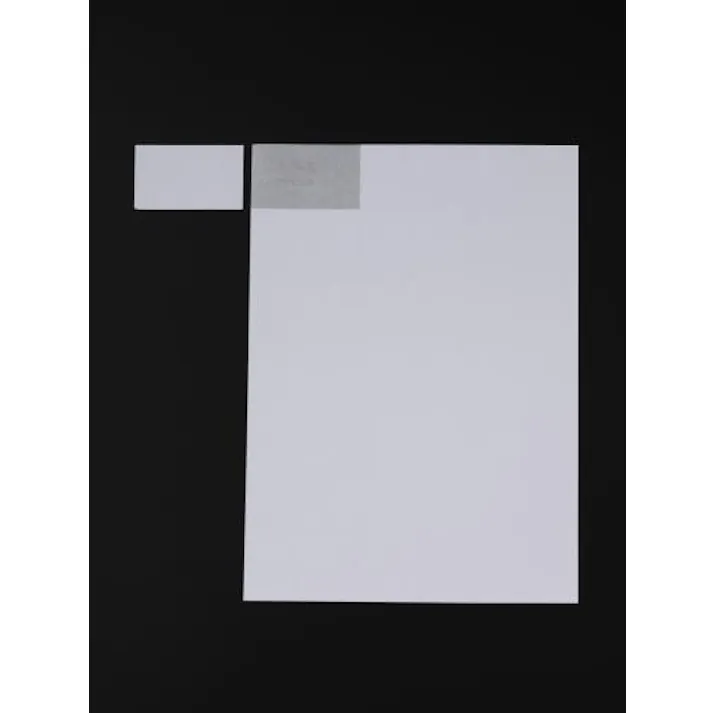 ヒサゴ(HISAGO) プリンターラベル(100枚) A4判/1面 EA759XD-1 4548745305364【別送品】
