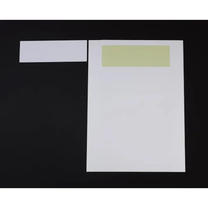 ヒサゴ(HISAGO) A4判/ 1面 プリンターラベル(強粘着/10枚 EA759XD-21 4548745307146(CDC)【別送品】