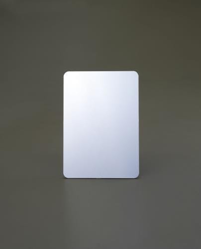 平面ミラー(樹脂製) 290x890mm EA724YA-6 4548745560701【別送品】