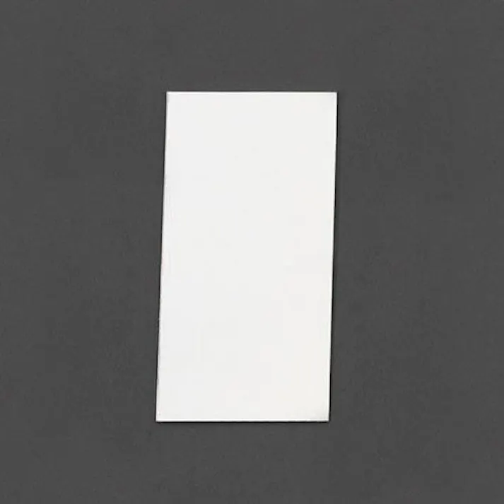 ESCO 100×200mm 平面ミラー(アクリル製) EA724ZW-23 4548745756647(CDC)【別送品】