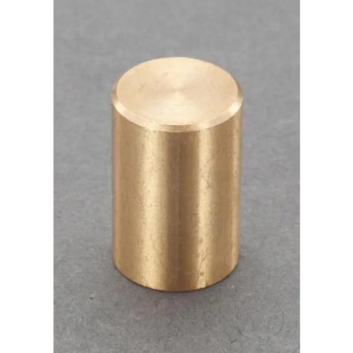 ESCO φ10x 20mm/ 40N 強力マグネット EA781EF-23 4548745979350(CDC)【別送品】