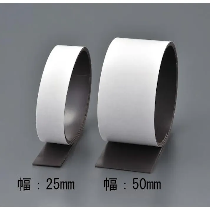 ESCO 25x1mm/10m 強力マグネット(強粘着付) EA781BR-31 4550061192733(CDC)【別送品】