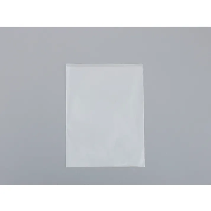 セキセイ(sedia) クリアポケット(10枚) A3/421x302mm EA762CB-231 4550061367384【別送品】