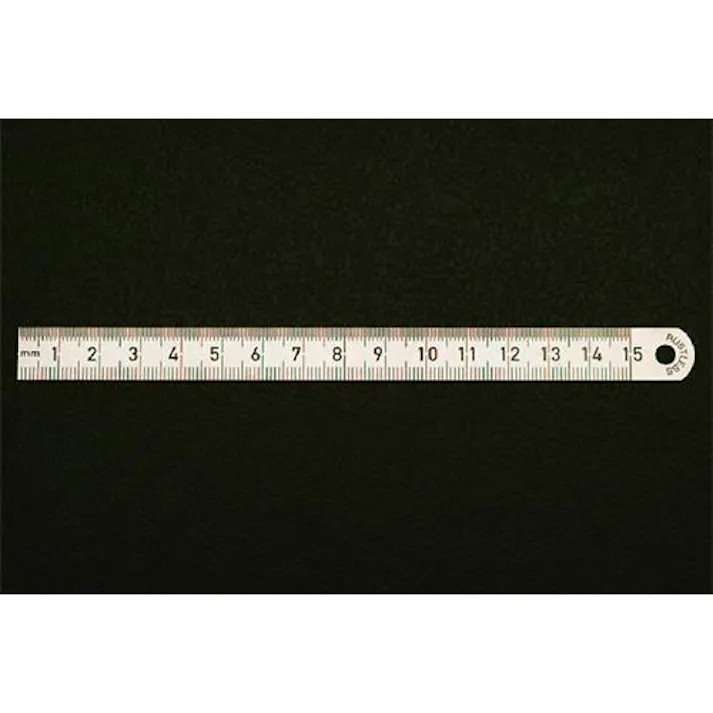 ESCO 100x13mm 直尺(ステンレス製) EA720YA-10 4550061474631(CDC)【別送品】