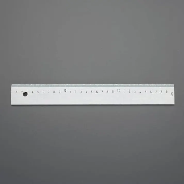 ESCO 300mm 鋼製ストレートエッジ(ベベル型) EA720YH-101 4550061511602(CDC)【別送品】