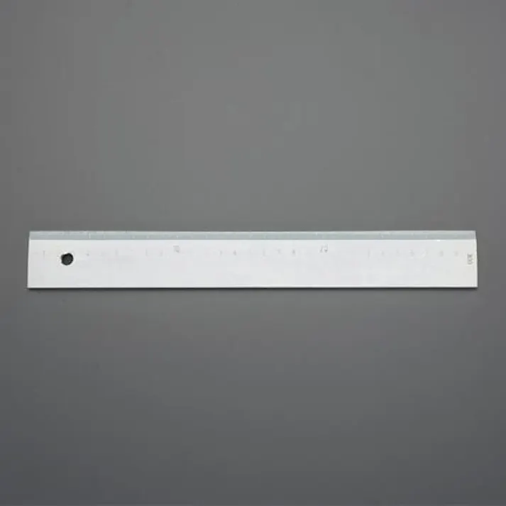 ESCO 1000mm 鋼製ストレートエッジ(ベベル型) EA720YH-103 4550061512562(CDC)【別送品】