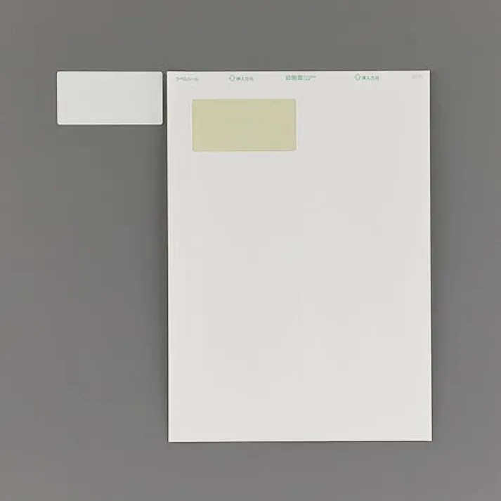 エーワン(A-one) A4判/ 1面 210x 297mm プリンターラベル(10枚) EA759XE-21 4550061812099(CDC)【別送品】