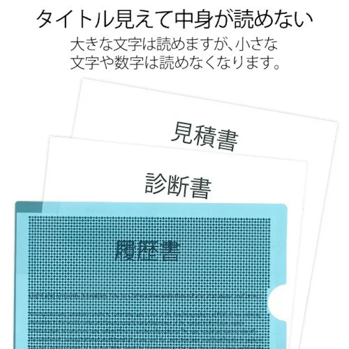 プラス(PLUS) セキュリティホルダー(ブルー) A4/310x220mm EA762CD-101 4550061877487【別送品】