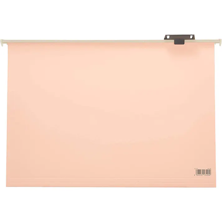 ライオン事務器(LION) ハンガーフォルダー(20冊) A4/240x311mm EA762CE-13 4550061890165【別送品】