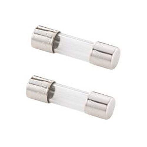 ESCO 250Vx 1.0A/φ5.2mm 管ヒューズ(B種溶断/2本) EA758ZX-370