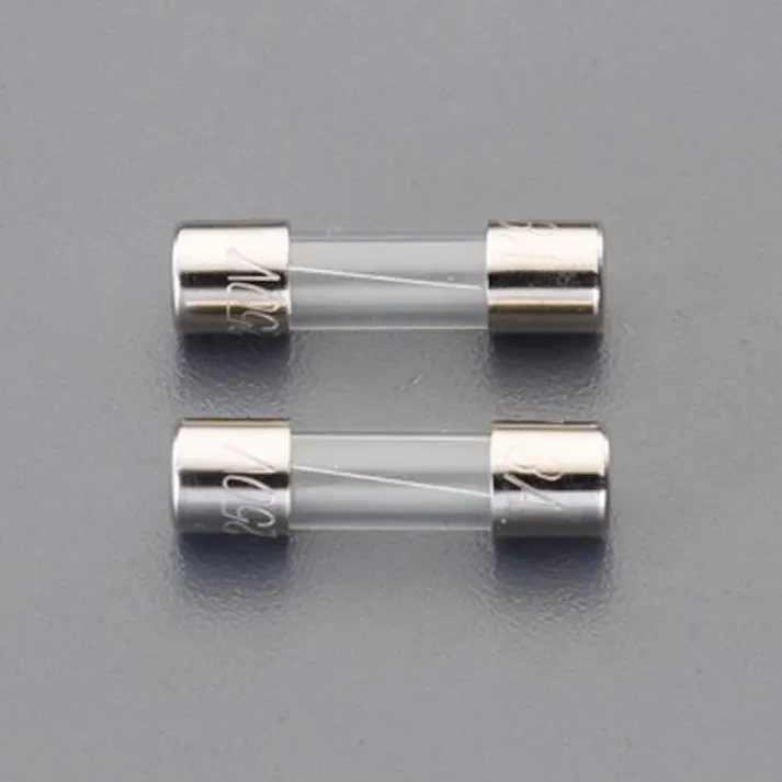 ESCO 250Vx10.0A/φ5.2mm 管ヒューズ(B種溶断/2本) EA758ZX-380 4550061994528(CDC)【別送品】