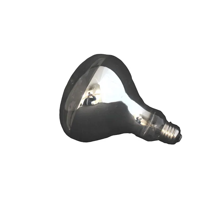 日動工業 AC100V/500W レフ電球 EA814DF-105 4518340433861(CDC)【別送品】
