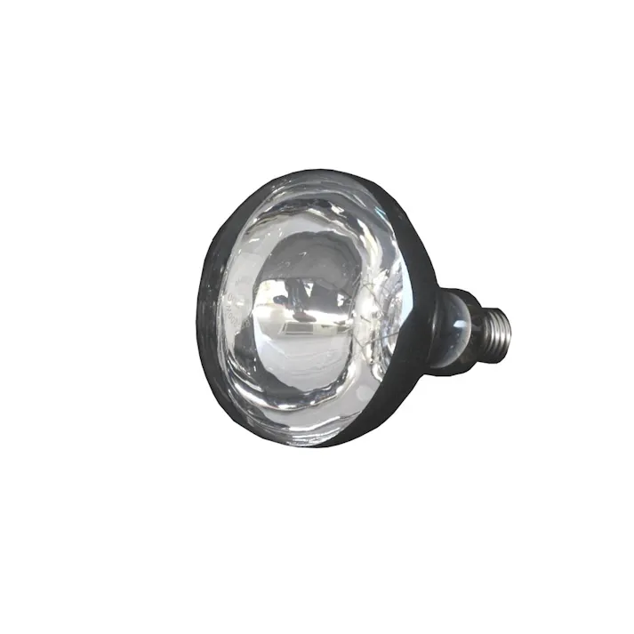 日動工業 AC100V/500W レフ電球 EA814DF-105 4518340433861(CDC)【別送品】