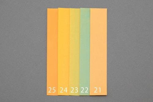 ダイヤモンド研磨シート 25x150mm/#1000 EA826VP-23 4518340531116【別送品】